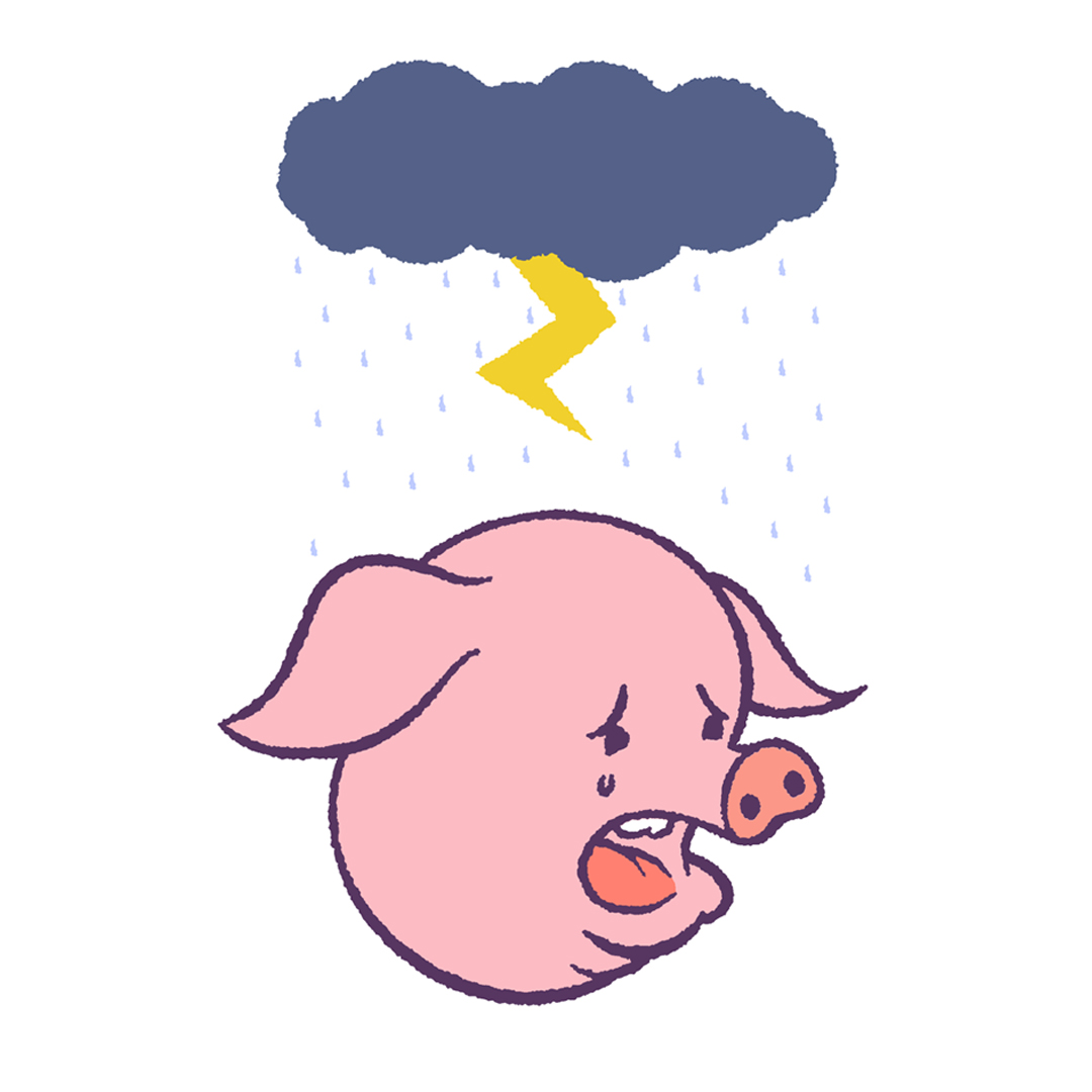 Cochon Chouineur — visuel de couverture